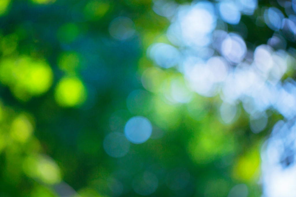 Blurred light filtering through trees