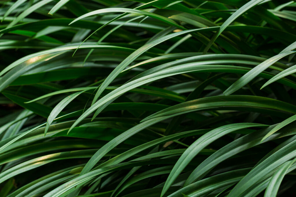How to Apply ESG Communications Strategies Across Channels