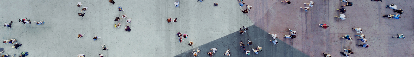Overcoming Visibility Challenges in a Noisy, Politicized Landscape